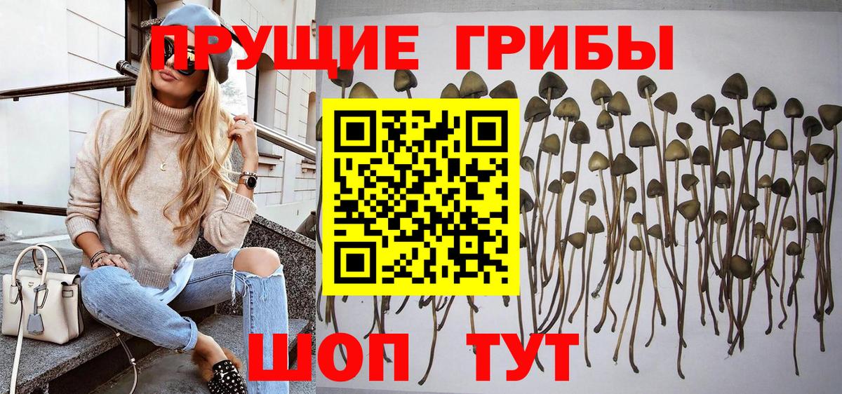 Псилоцибиновые грибы ЛСД Еманжелинск