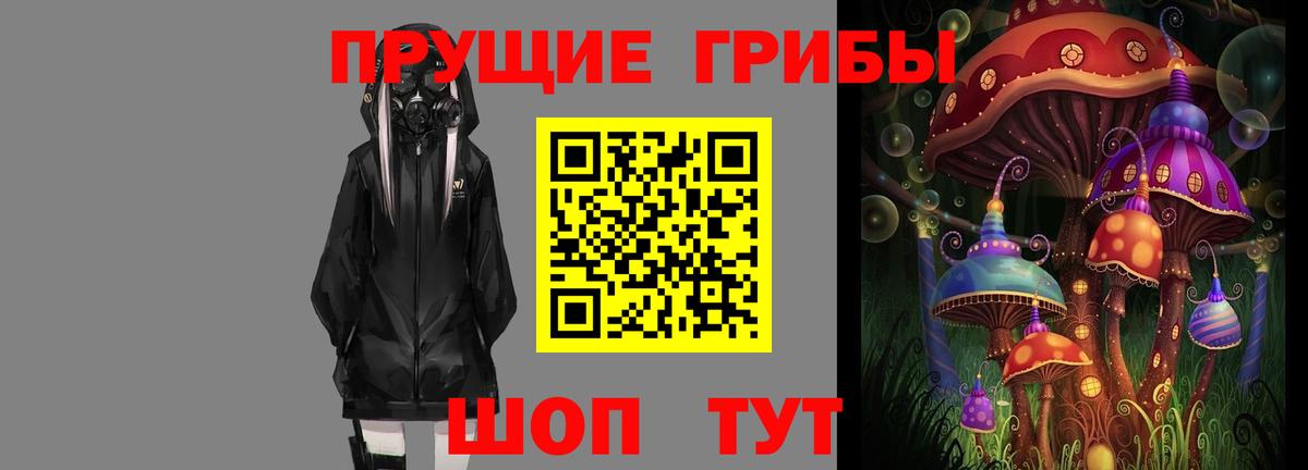 купить наркоту  Вход с VPN  Еманжелинск  Галлюциногенные грибы Psilocybine cubensis  Псилоцибиновые грибы MAGIC MUSHROOMS 